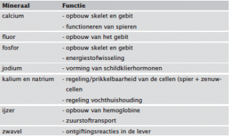 medisch terminologie